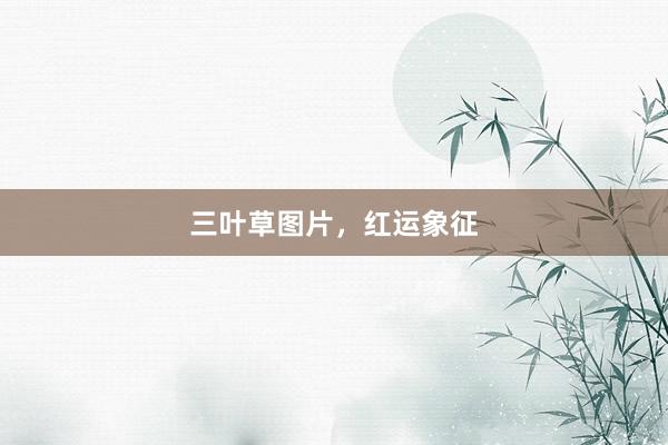三叶草图片，红运象征