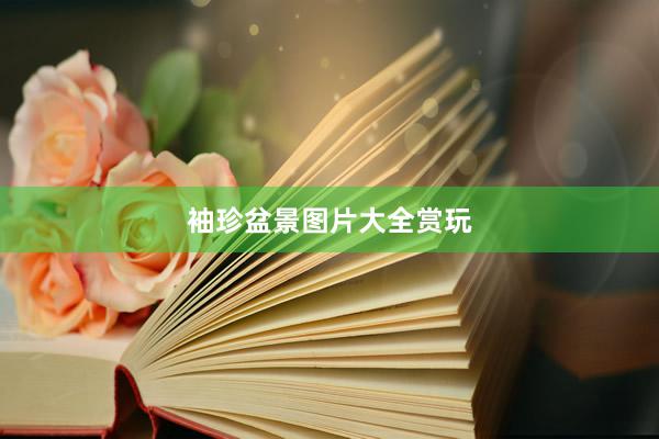 袖珍盆景图片大全赏玩