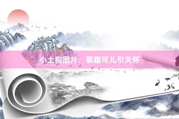 小土狗图片，萌趣可儿引关怀