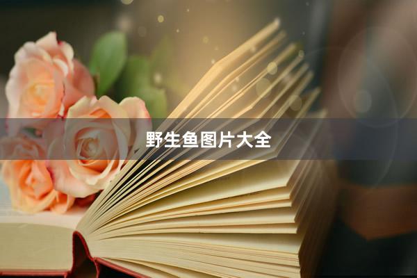野生鱼图片大全