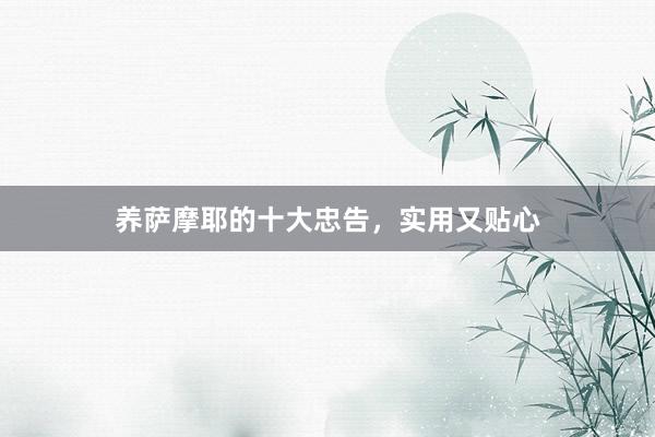 养萨摩耶的十大忠告，实用又贴心