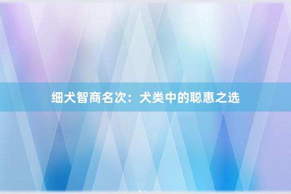 细犬智商名次：犬类中的聪惠之选